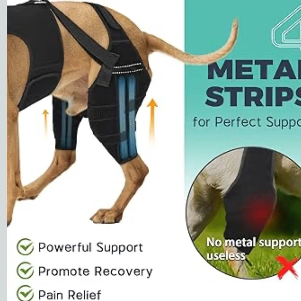 Marnonsis Dog Knee Braces For Back Leg, Adjustable ACL Brace 2XL/458-bb3